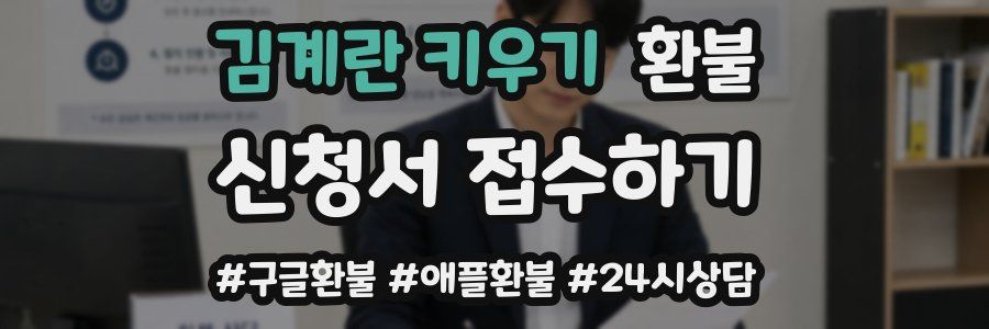 김계란 키우기 환불