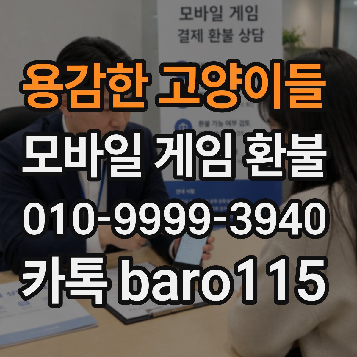 용감한 고양이들 환불