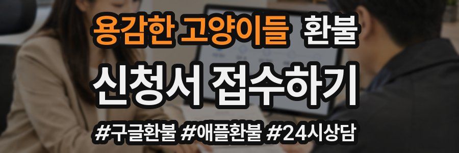 용감한 고양이들 환불