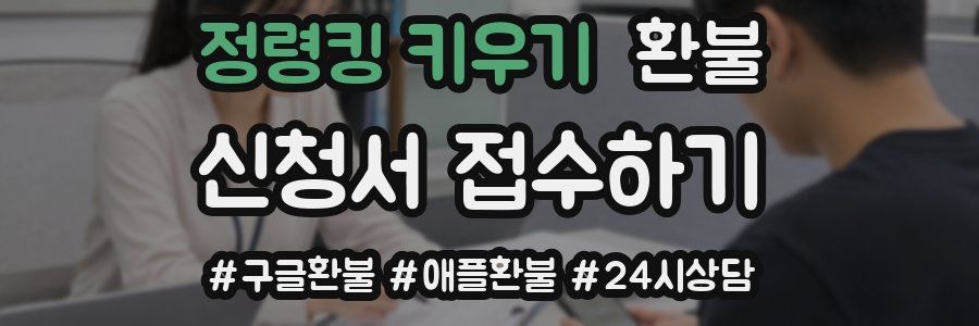 정령킹 키우기 환불