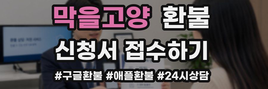 막을고양 환불