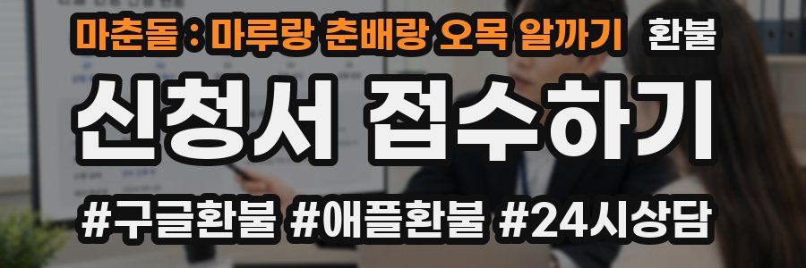 마춘돌 : 마루랑 춘배랑 오목 알까기 환불