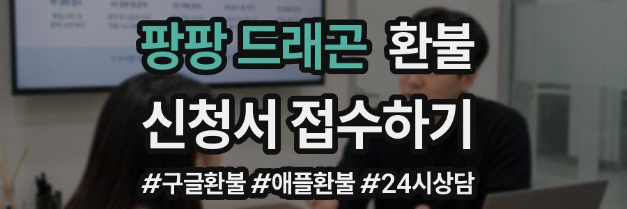 팡팡 드래곤 환불