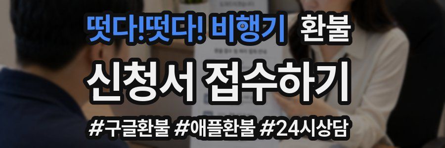 떳다!떳다! 비행기 환불