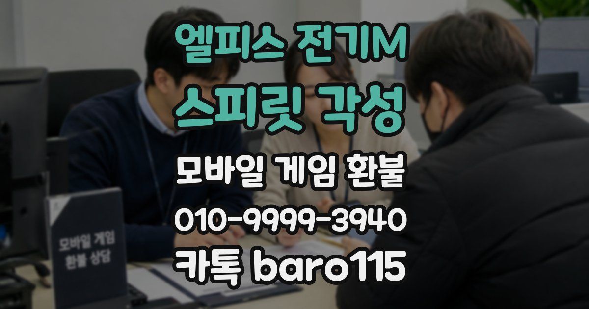 엘피스 전기M: 스피릿 각성 환불