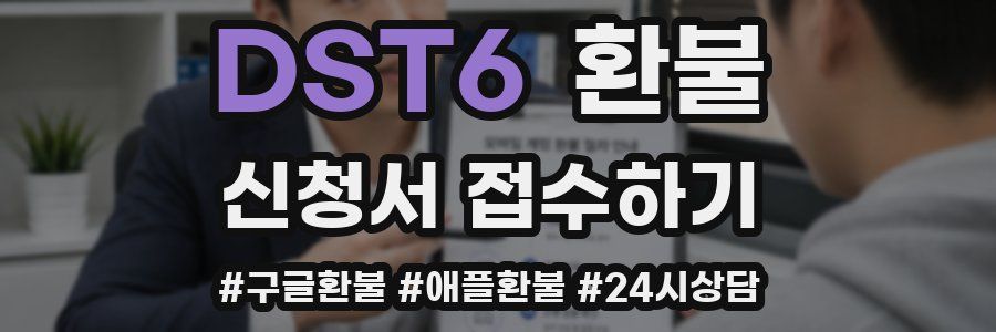 DST6 환불