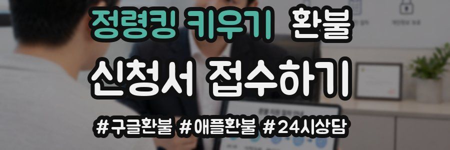 정령킹 키우기 환불