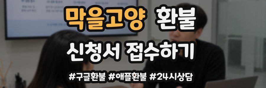 막을고양 환불