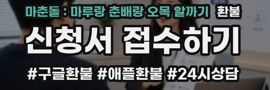 마춘돌 : 마루랑 춘배랑 오목 알까기 환불