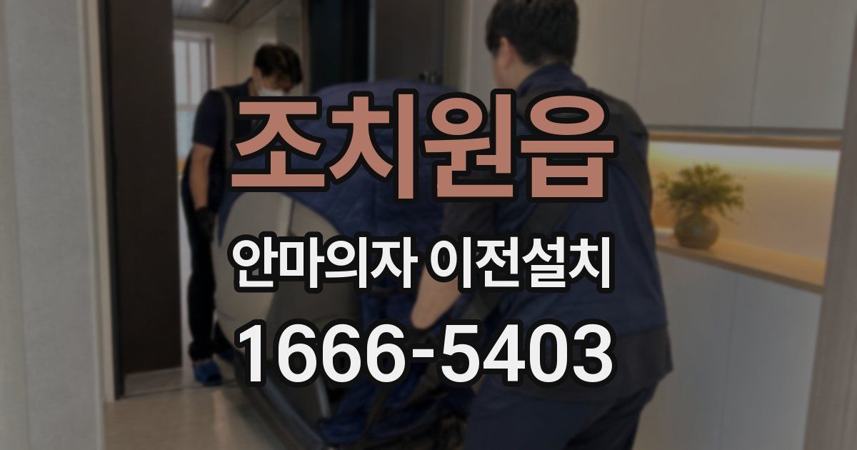 조치원읍 안마의자 이전설치