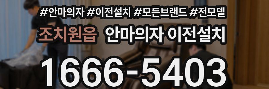 조치원읍 안마의자 이전설치