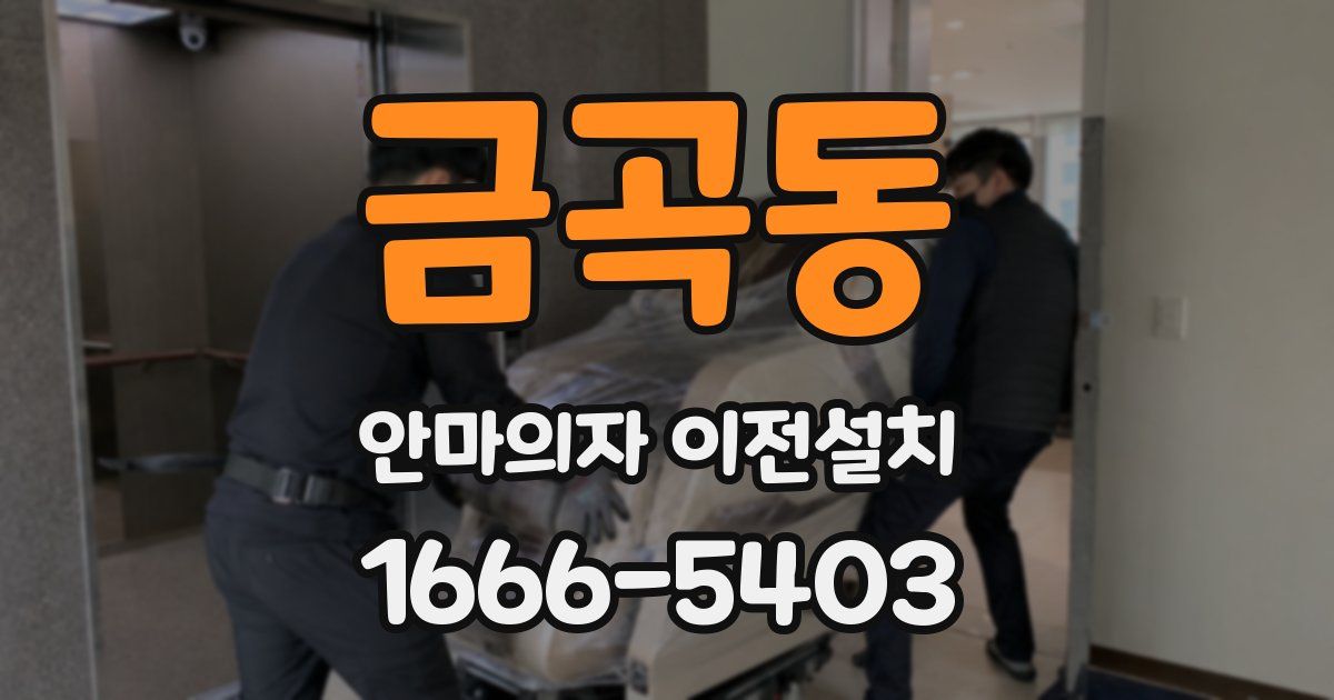 금곡동 안마의자 이전설치