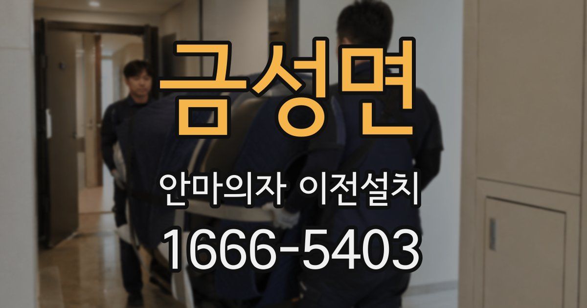 금성면 안마의자 이전설치