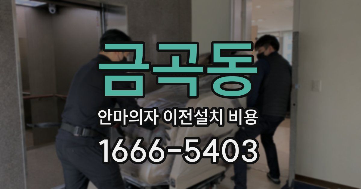 금곡동 안마의자 이전설치 비용