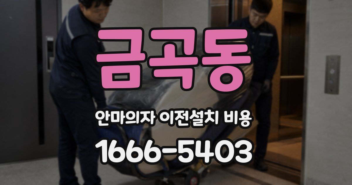 금곡동 안마의자 이전설치 비용