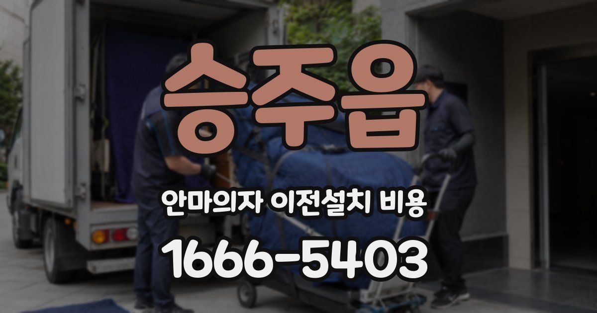 승주읍 안마의자 이전설치 비용