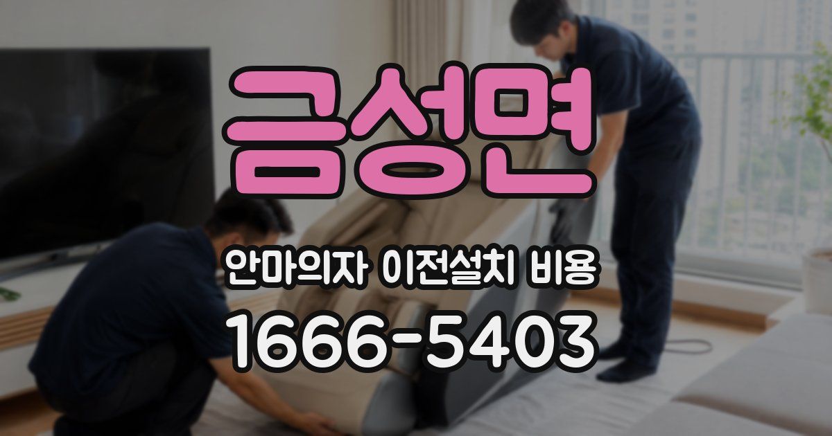 금성면 안마의자 이전설치 비용