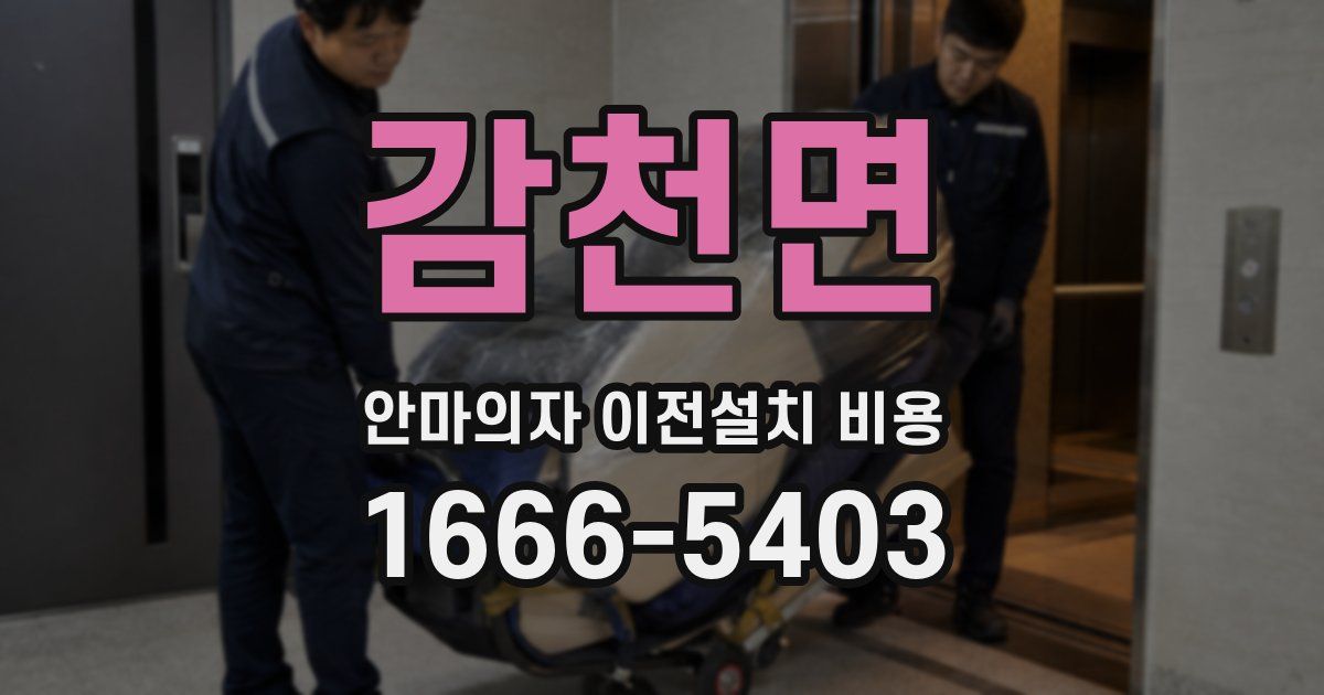 감천면 안마의자 이전설치 비용