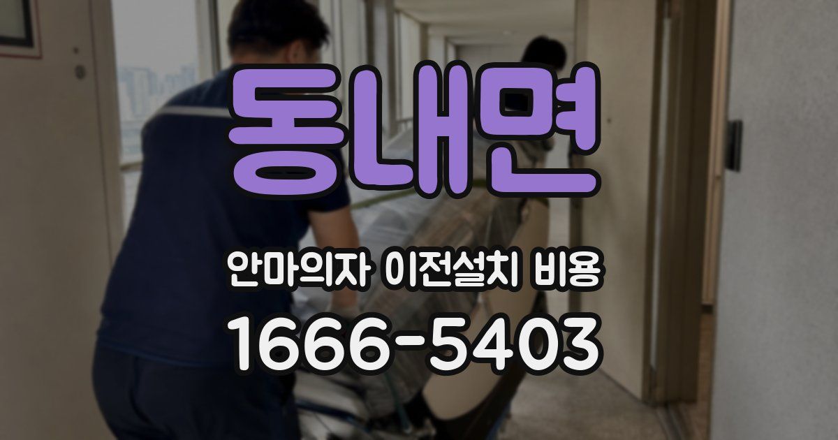 동내면 안마의자 이전설치 비용