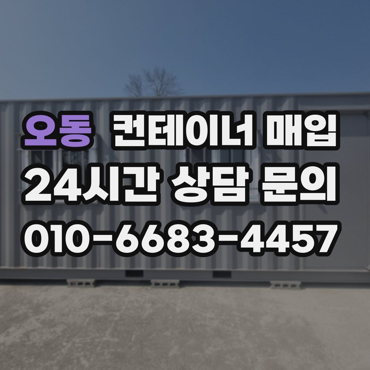 오동 컨테이너 매입