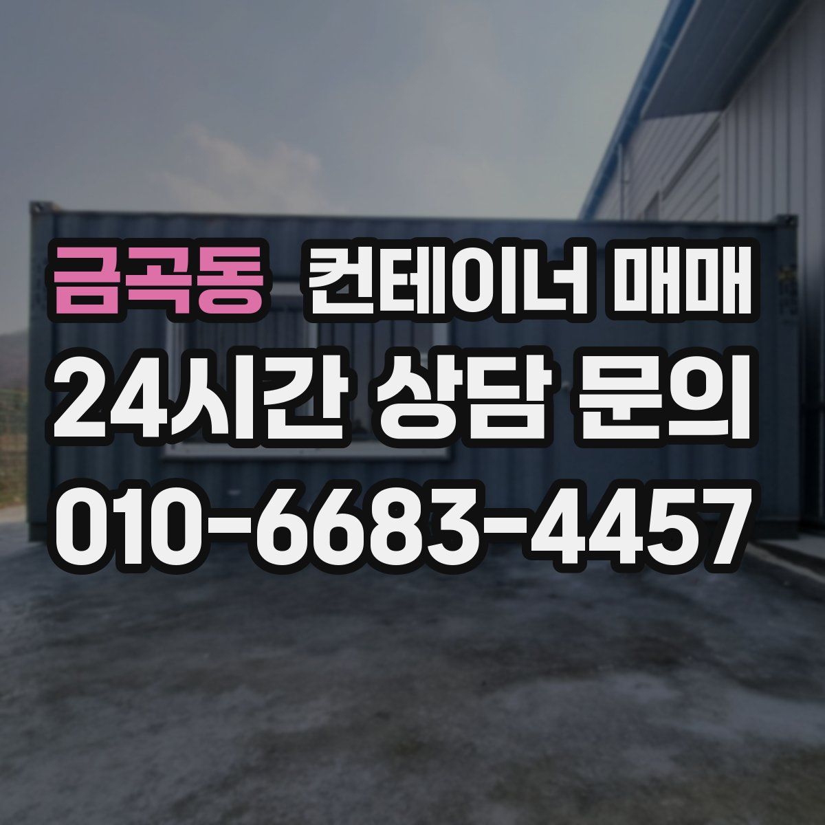 금곡동 컨테이너 매매