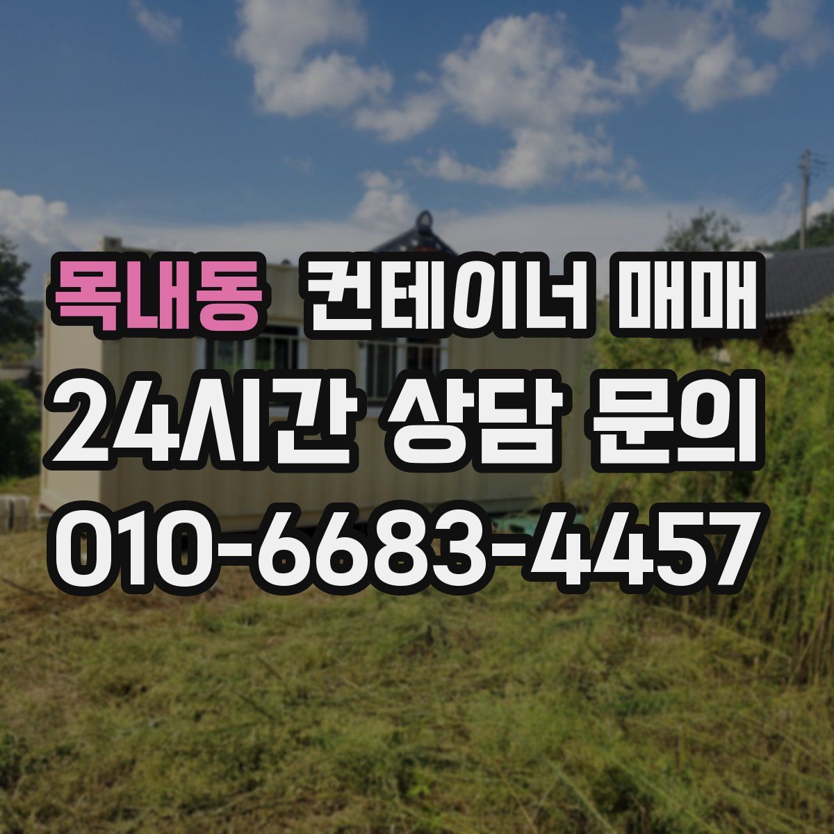 목내동 컨테이너 매매