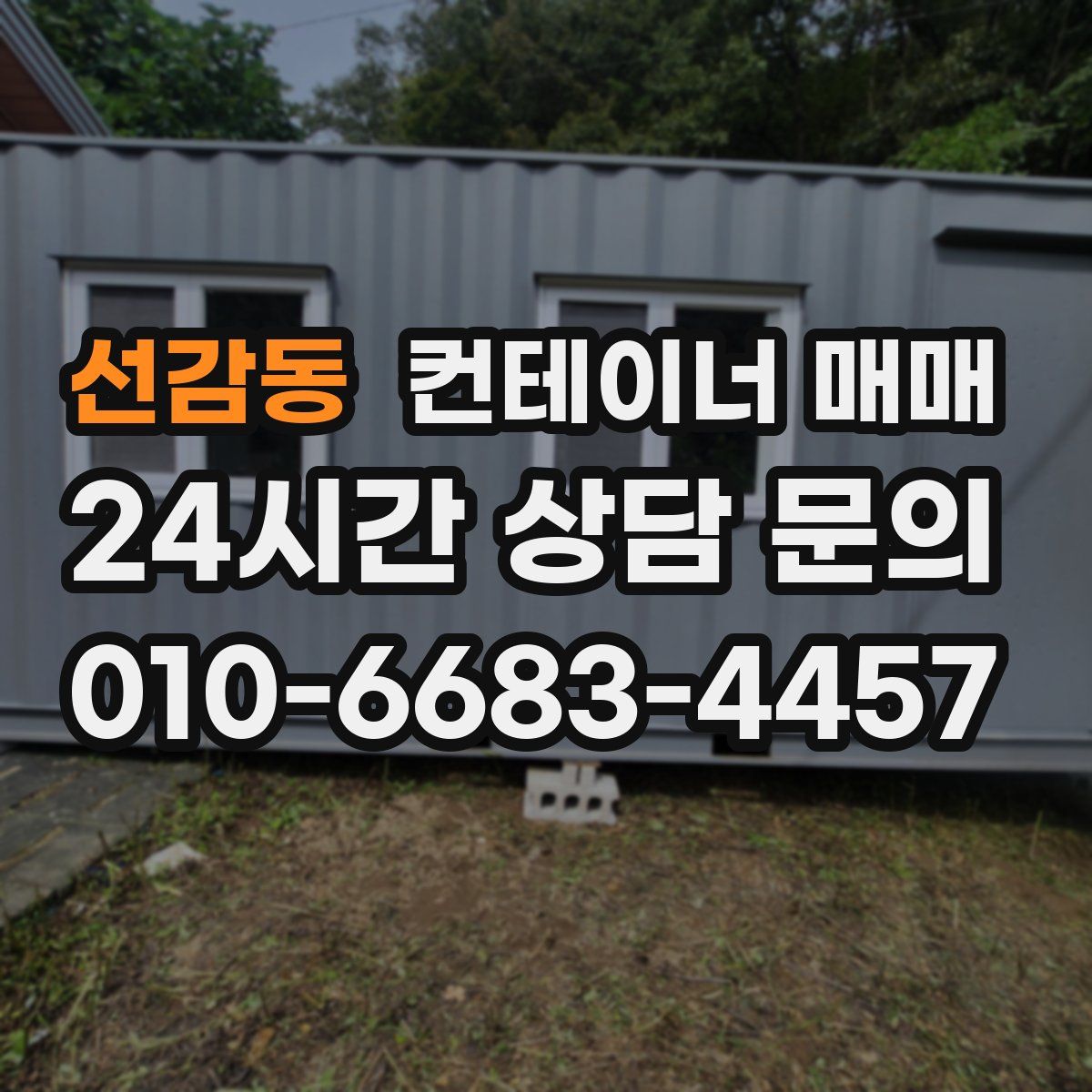 선감동 컨테이너 매매