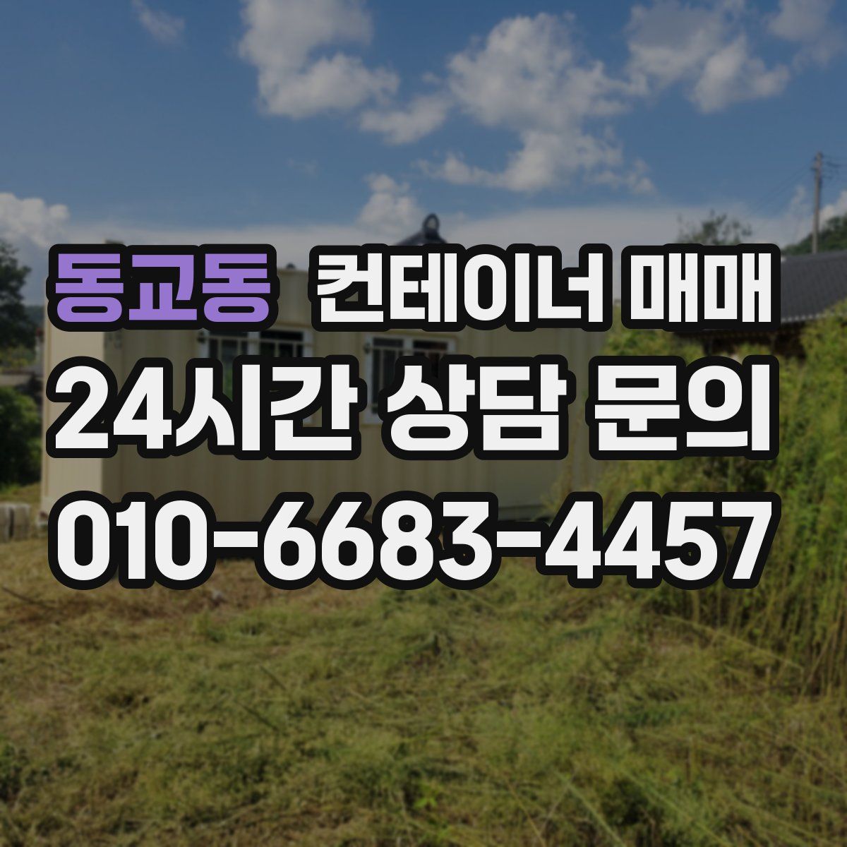 동교동 컨테이너 매매
