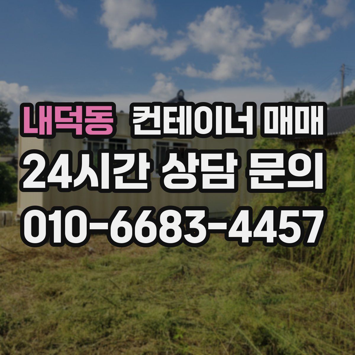 내덕동 컨테이너 매매