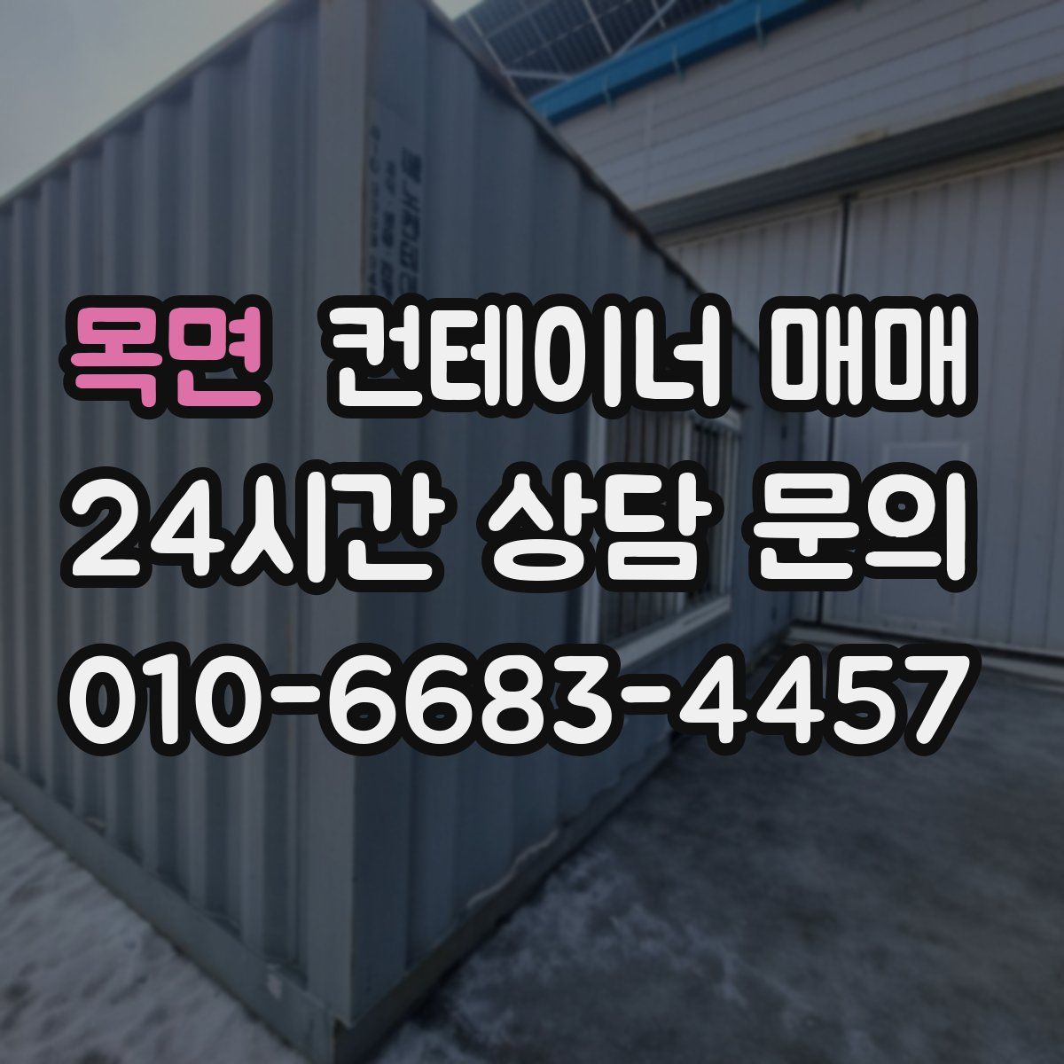 목면 컨테이너 매매