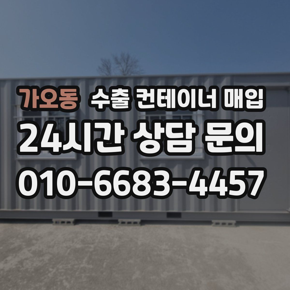 가오동 수출 컨테이너 매입