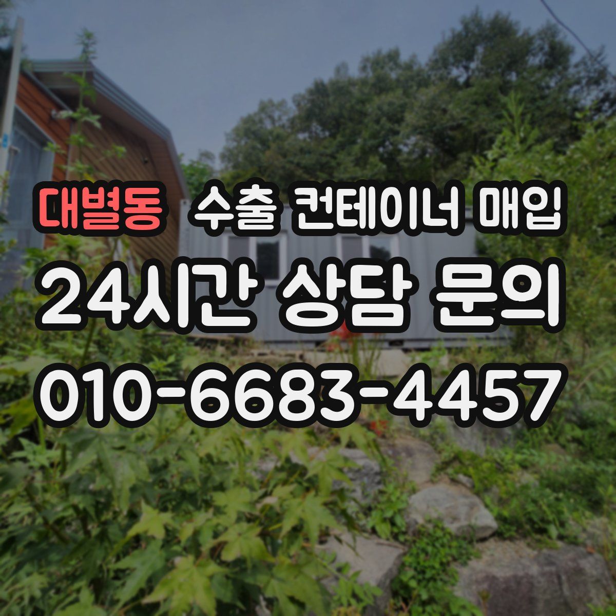 대별동 수출 컨테이너 매입