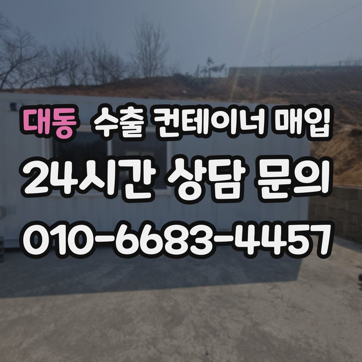 대동 수출 컨테이너 매입