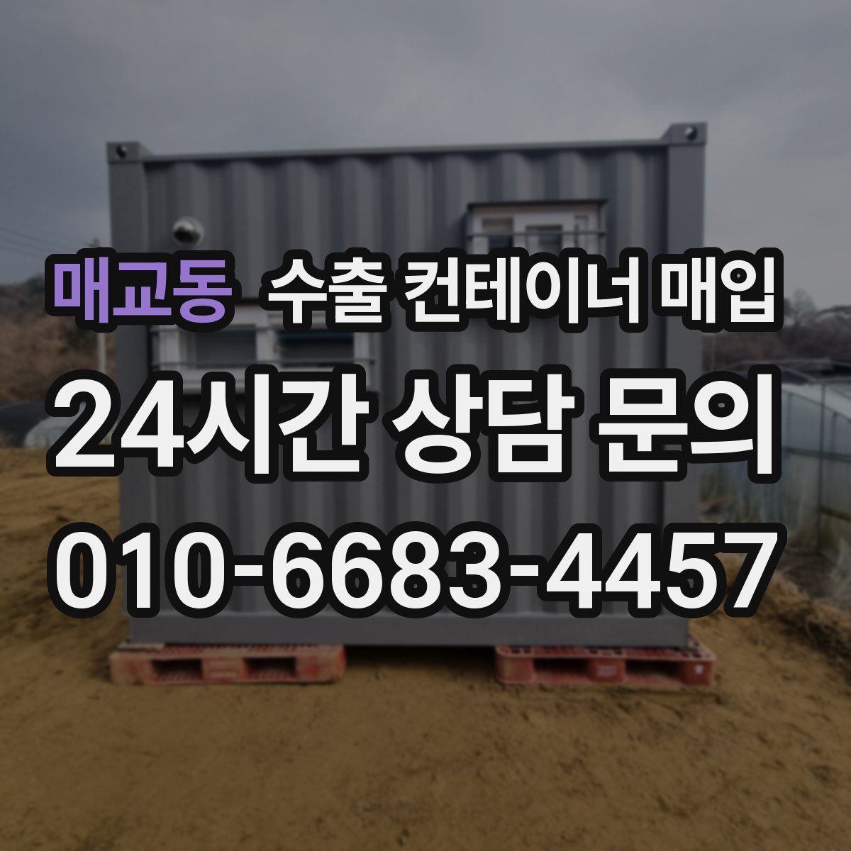 매교동 수출 컨테이너 매입