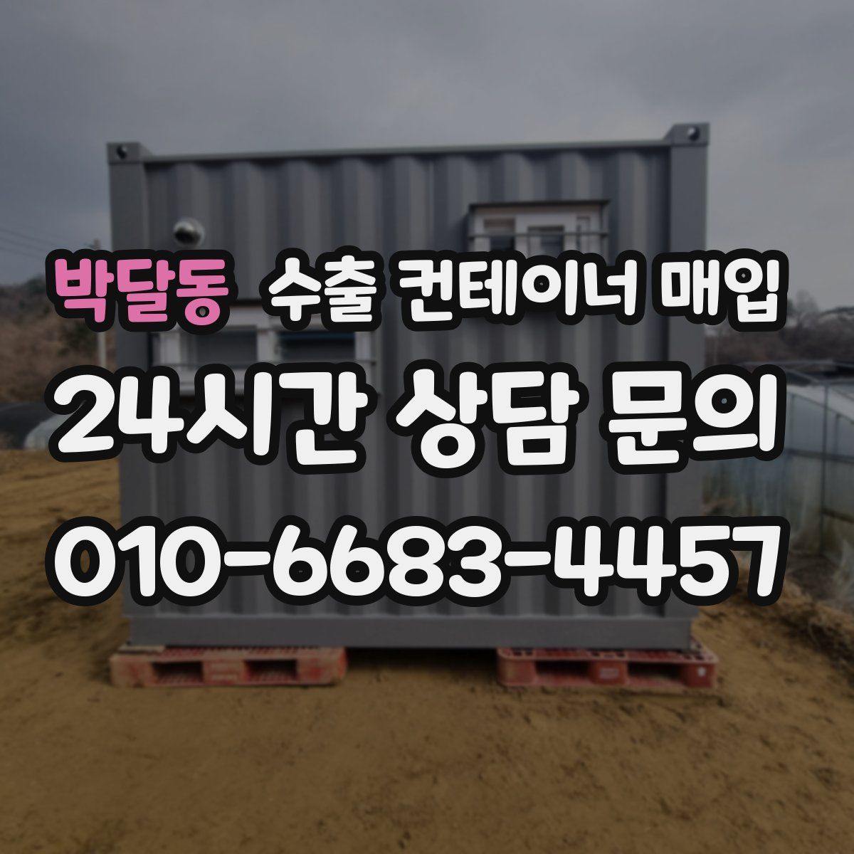 박달동 수출 컨테이너 매입