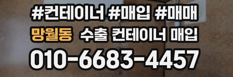 망월동 수출 컨테이너 매입