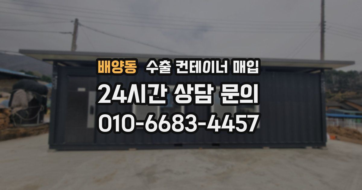 배양동 수출 컨테이너 매입