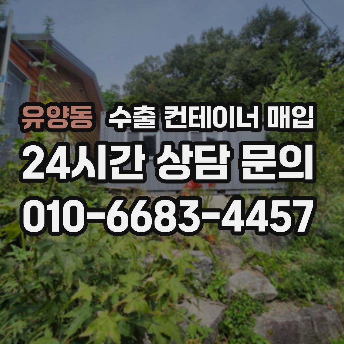 유양동 수출 컨테이너 매입