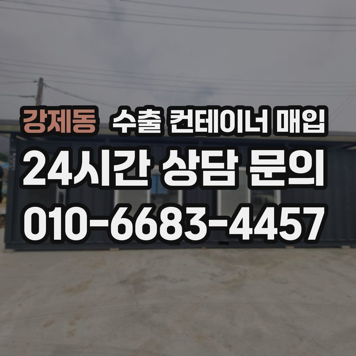 강제동 수출 컨테이너 매입
