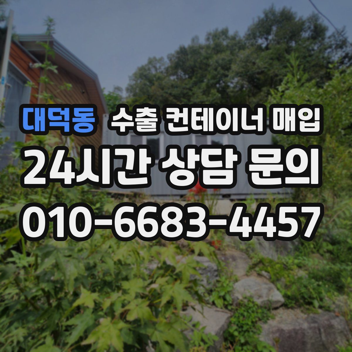 대덕동 수출 컨테이너 매입