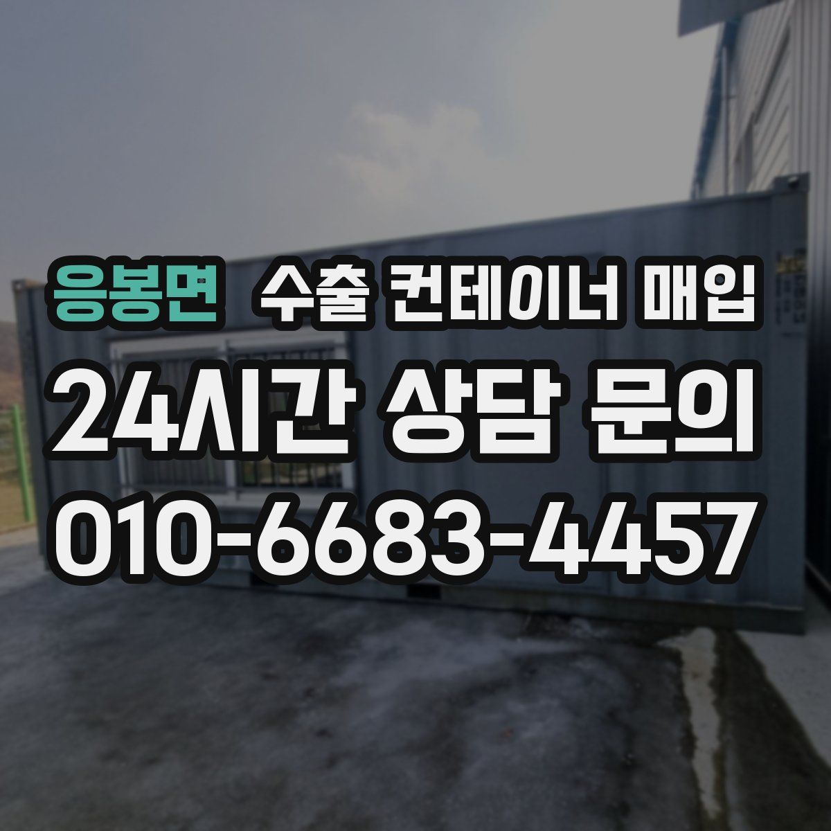 응봉면 수출 컨테이너 매입