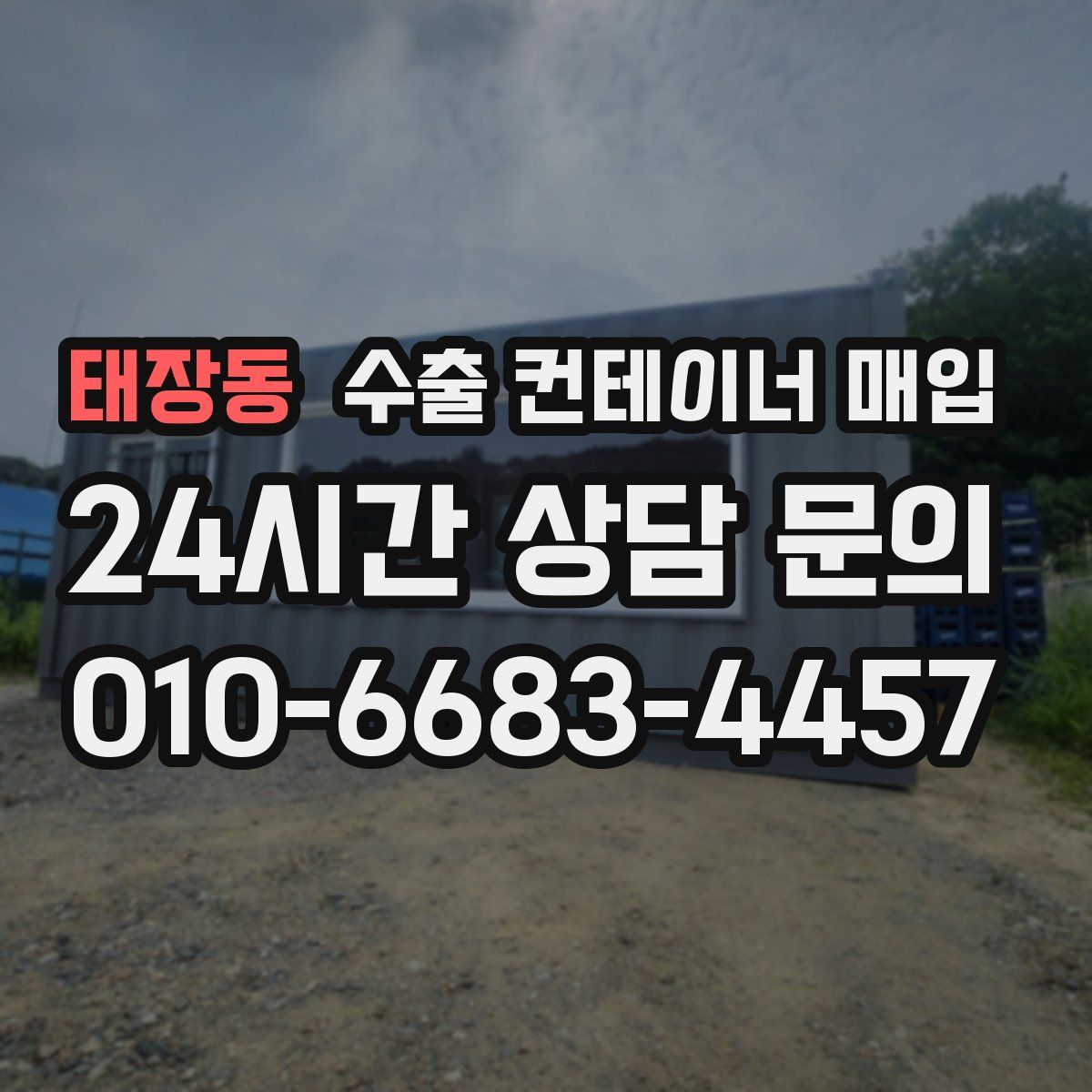 태장동 수출 컨테이너 매입