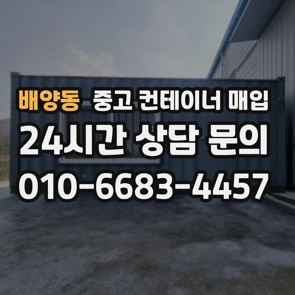 배양동 중고 컨테이너 매입