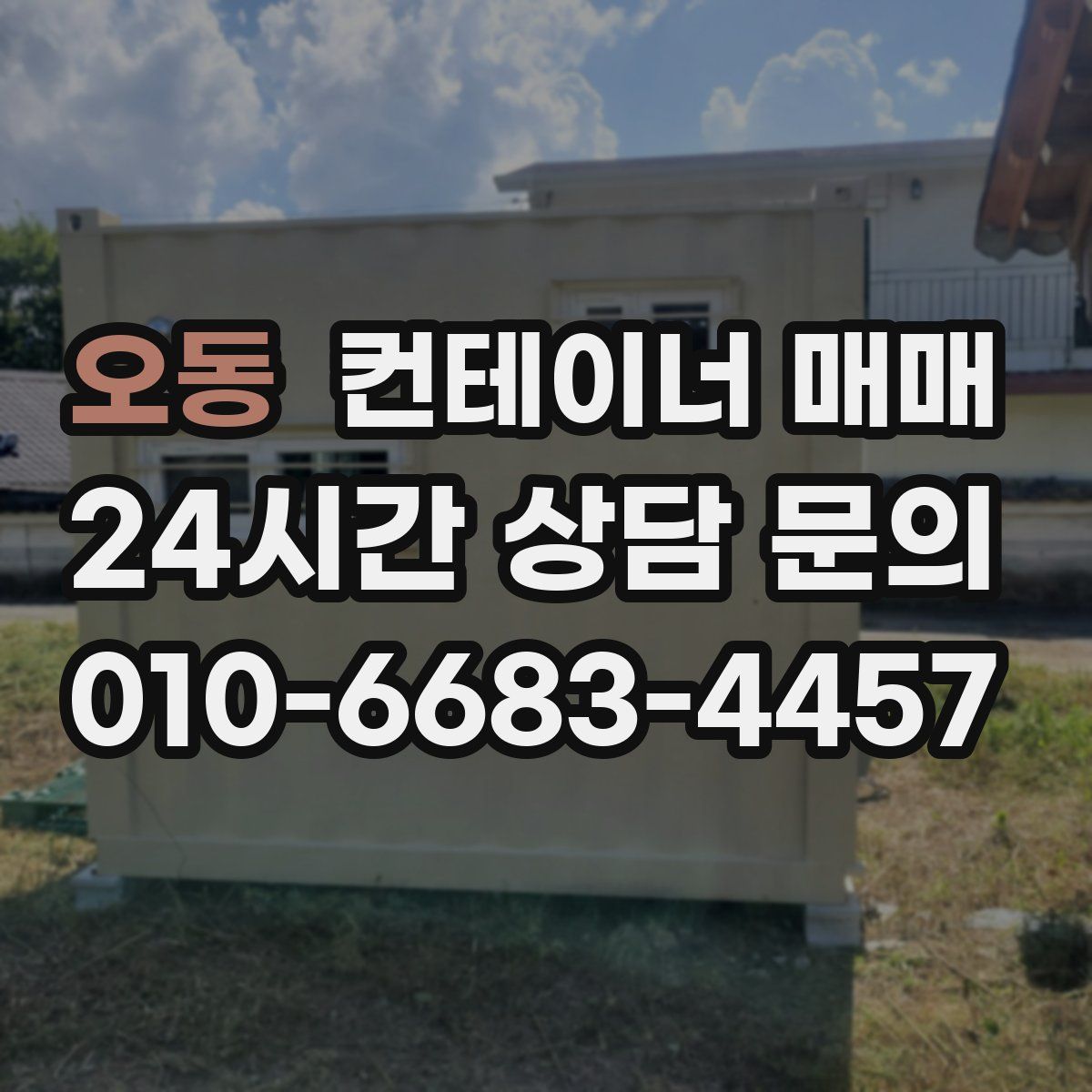 오동 컨테이너 매매