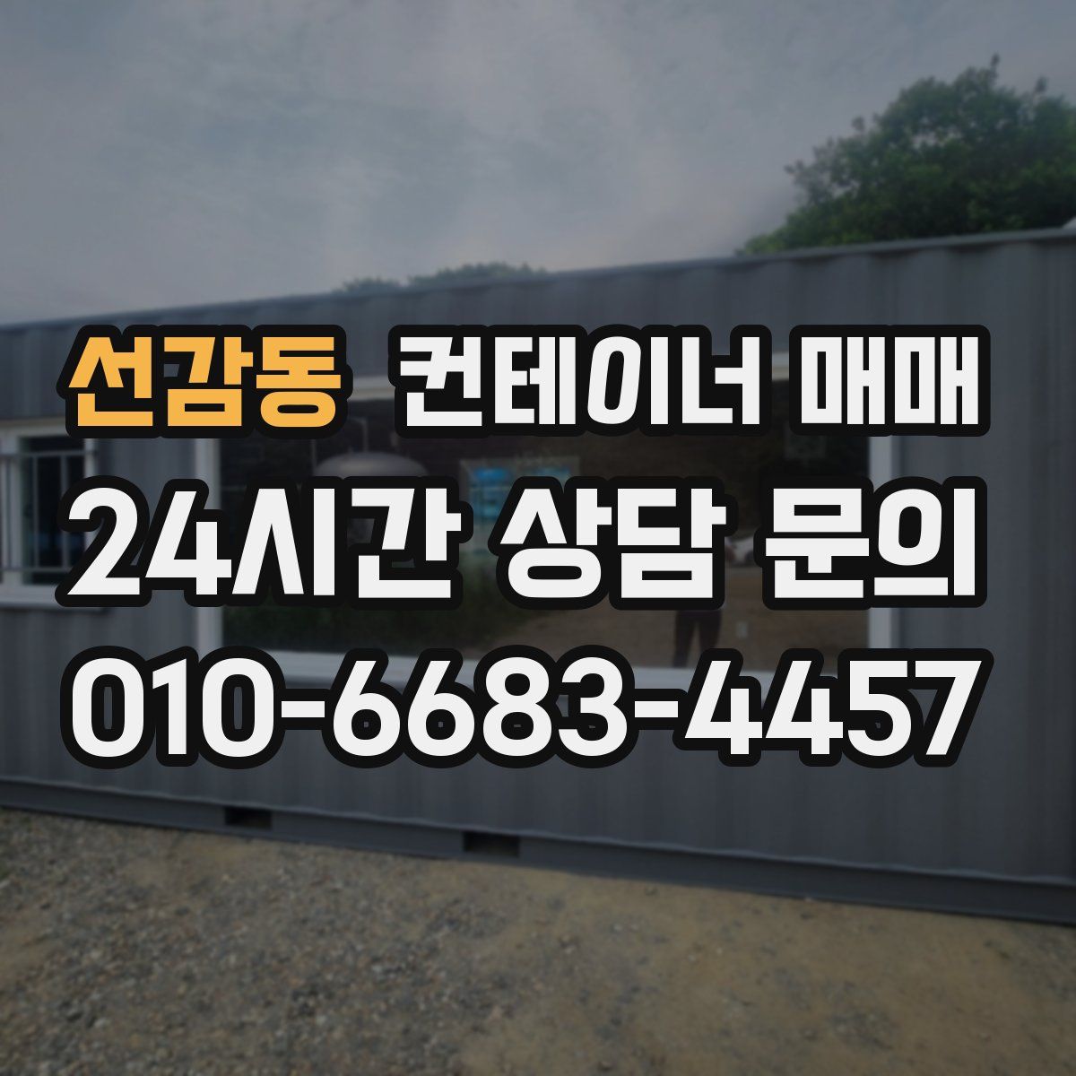 선감동 컨테이너 매매