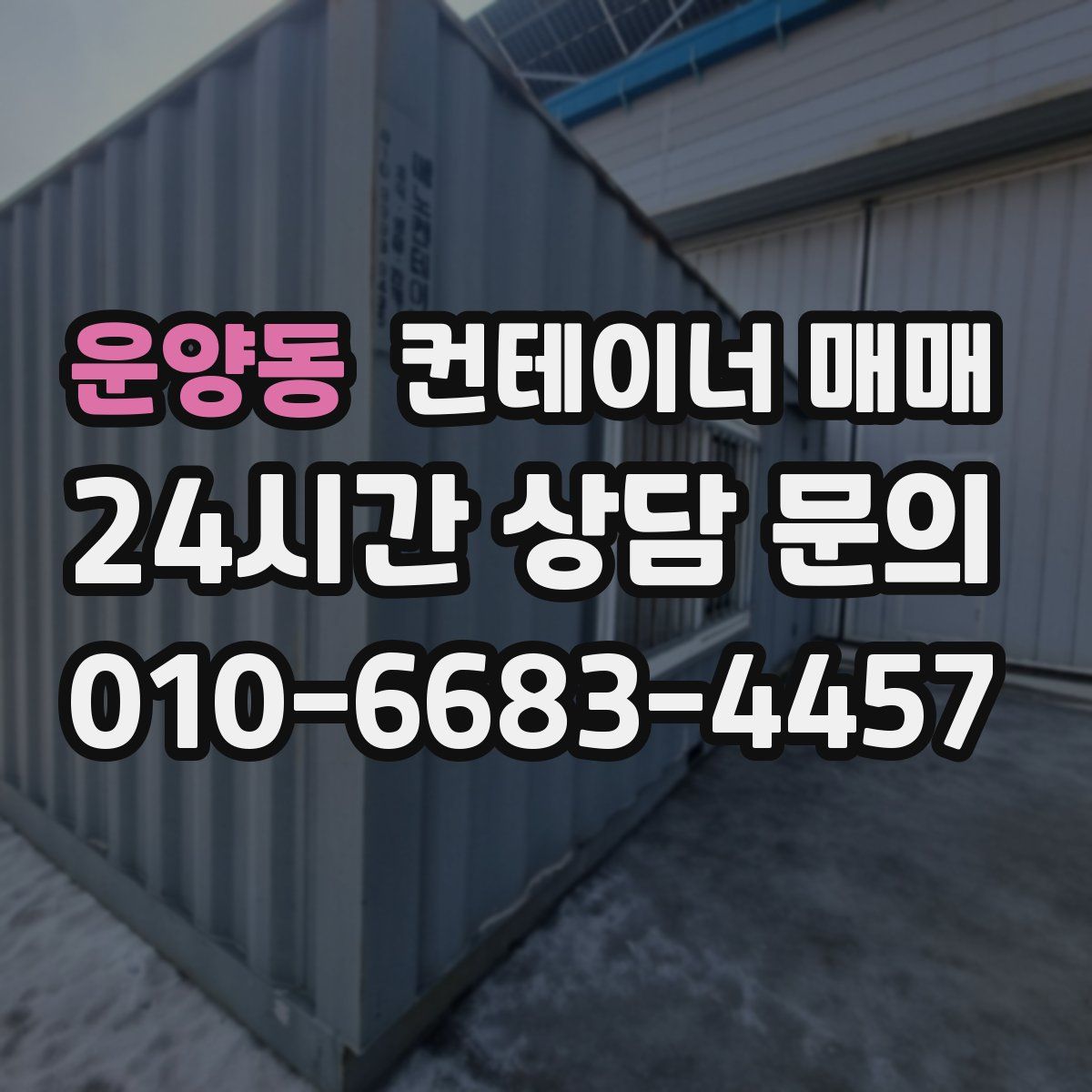 운양동 컨테이너 매매