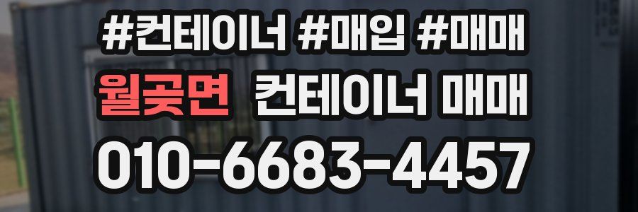 월곶면 컨테이너 매매