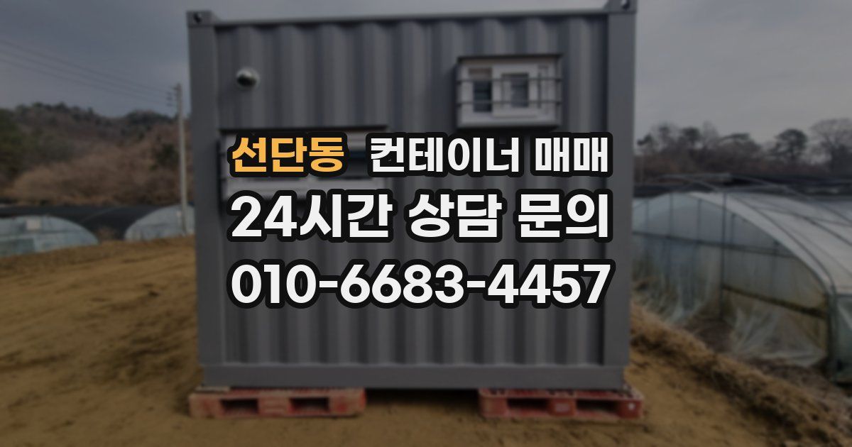 선단동 컨테이너 매매