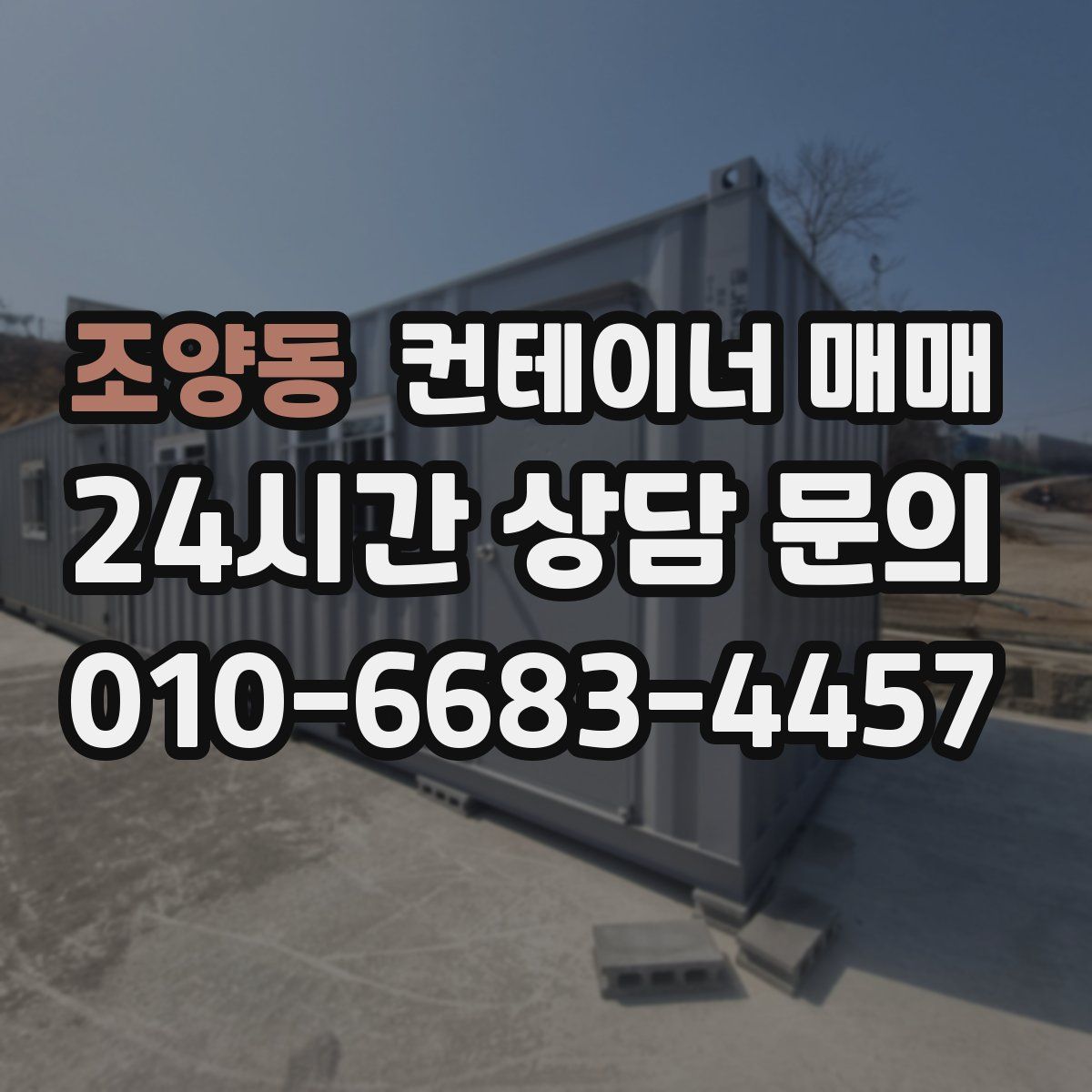 조양동 컨테이너 매매