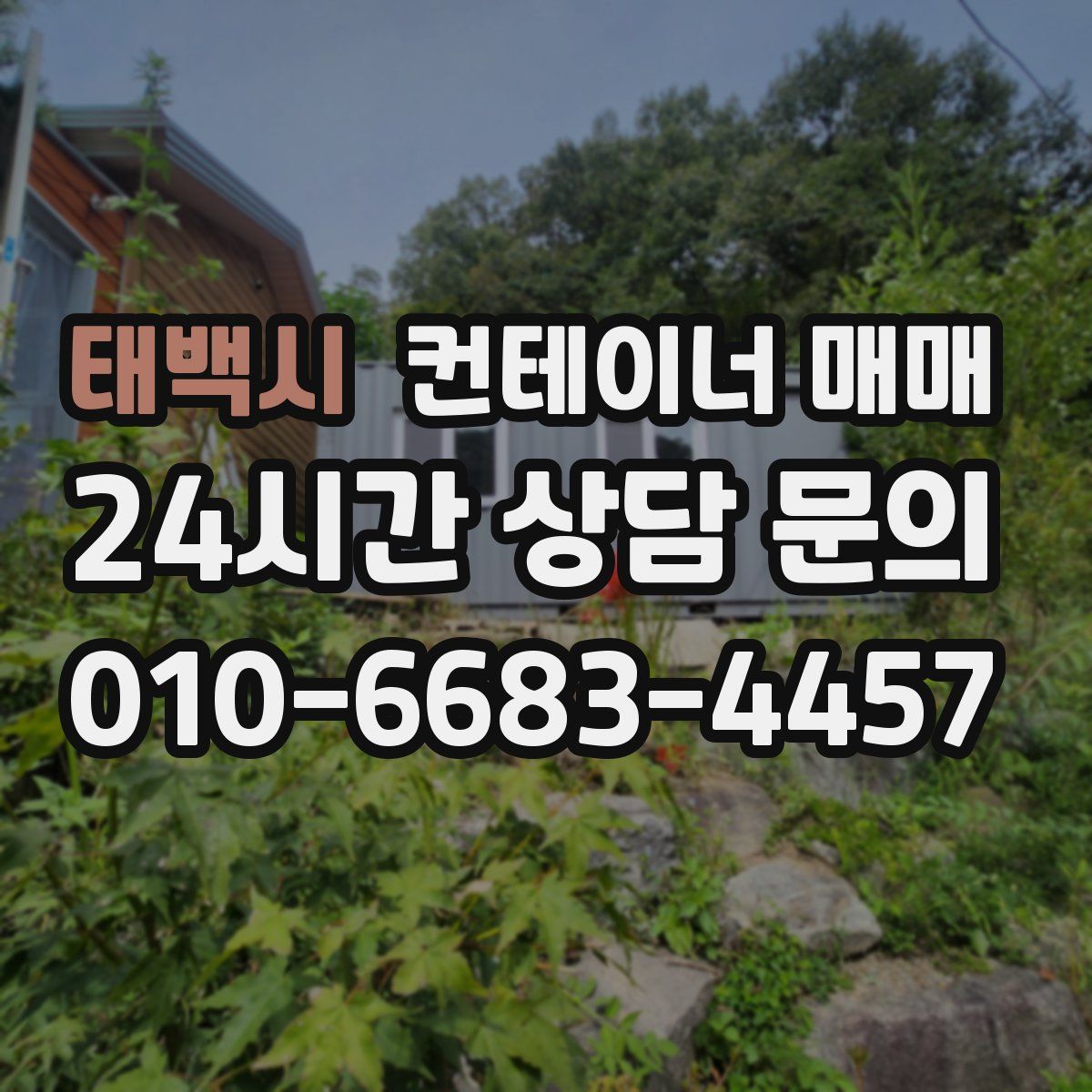 태백시 컨테이너 매매